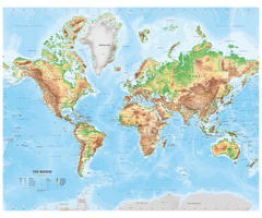 Digital physical  map of The World medium